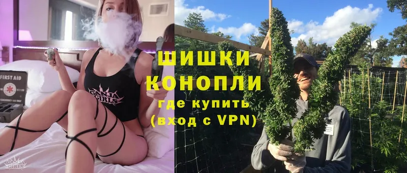 Бошки марихуана SATIVA & INDICA  закладки  Ишимбай 